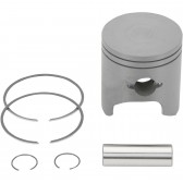 PISTON ASSY, ARCTIC STD