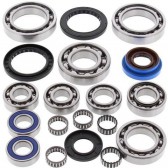 BEARING KIT DIFF RR POL