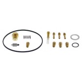 CARBURETOR REBUILD KIT