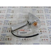 FRONT FLASHER LIGHT ASSY 1