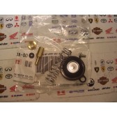 DIAPHRAGM SET, 1