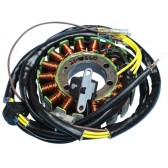 STATOR POLARIS