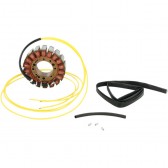 STATOR CANAM