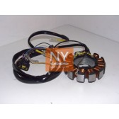 STATOR MUD POLARIS