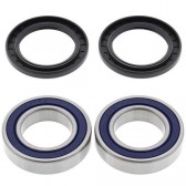 WHEEL BEARING & SEAL KIT