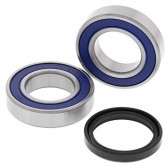 WHEEL BEARING & SEAL KIT