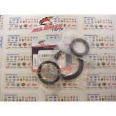 DIFFERENTIAL SEAL KIT