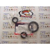 DIFFERENTIAL SEAL KIT