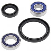 WHEEL BEARING & SEAL KIT