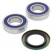 WHEEL BEARING & SEAL KIT