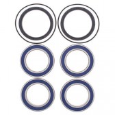 WHEEL BEARING & SEAL KIT