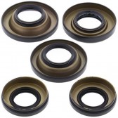 DIFFERENTIAL SEAL KIT