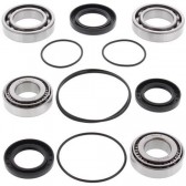 DIFFERENTIAL BEARING AND SEAL KIT