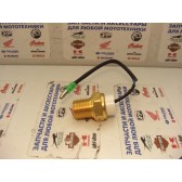 THERMOSTAT SWITCH