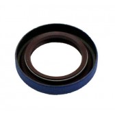 SEAL-DUAL LIP .0984X1.500X.25