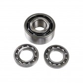 PINION BEARING