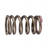 VALVE SPRING