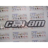 REAR SIDE DECAL, CAN-AM