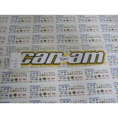 CAN-AM DECAL