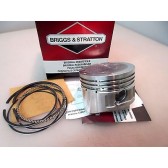 PISTON ASSEMBLY BS-716144