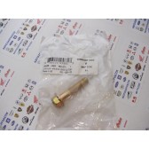 SCREW,CAP-HFH M10X1.25X45 CL8.8 Z&Y