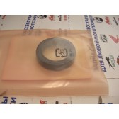 OIL SEAL (24X34X7)