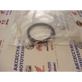 OIL SEAL (1UY)