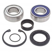 CHAIN CASE BEARING & SEAL KIT