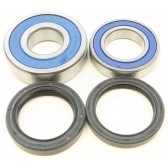 REAR WHEEL BEARING KIT