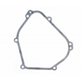 GASKET-CRANKCASE BS-699485