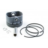 PISTON ASSEMBLY BS-793214