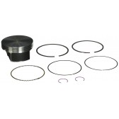 PISTON ASSEMBLY BS-796172