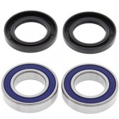 WHEEL BEARING & SEAL KIT