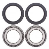 WHEEL BEARING & SEAL KIT