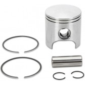 PISTON ASSY, POLARIS STD.