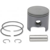 PISTON ASSY, POLARIS STD