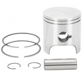 PISTON ASSY, POLARIS STD