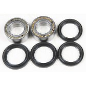 REAR WHEEL BEARING KIT