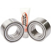 REAR WHEEL BEARING KIT