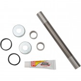 SWINGARM KIT