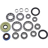 DIF BEARING & SEAL KIT RR