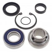 CHAIN CASE BEARING & SEAL KIT