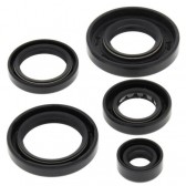 OIL SEAL SET