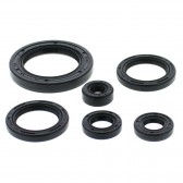 OIL SEAL SET