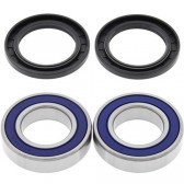 WHEEL BEARING & SEAL KIT