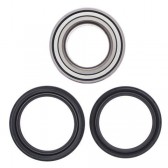 WHEEL BEARING & SEAL KIT