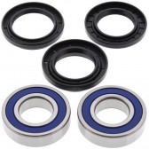 WHEEL BEARING & SEAL KIT