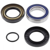 WHEEL BEARING & SEAL KIT