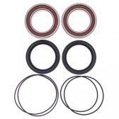 WHEEL BEARING & SEAL KIT