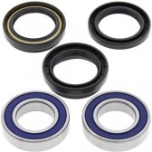 WHEEL BEARING & SEAL KIT